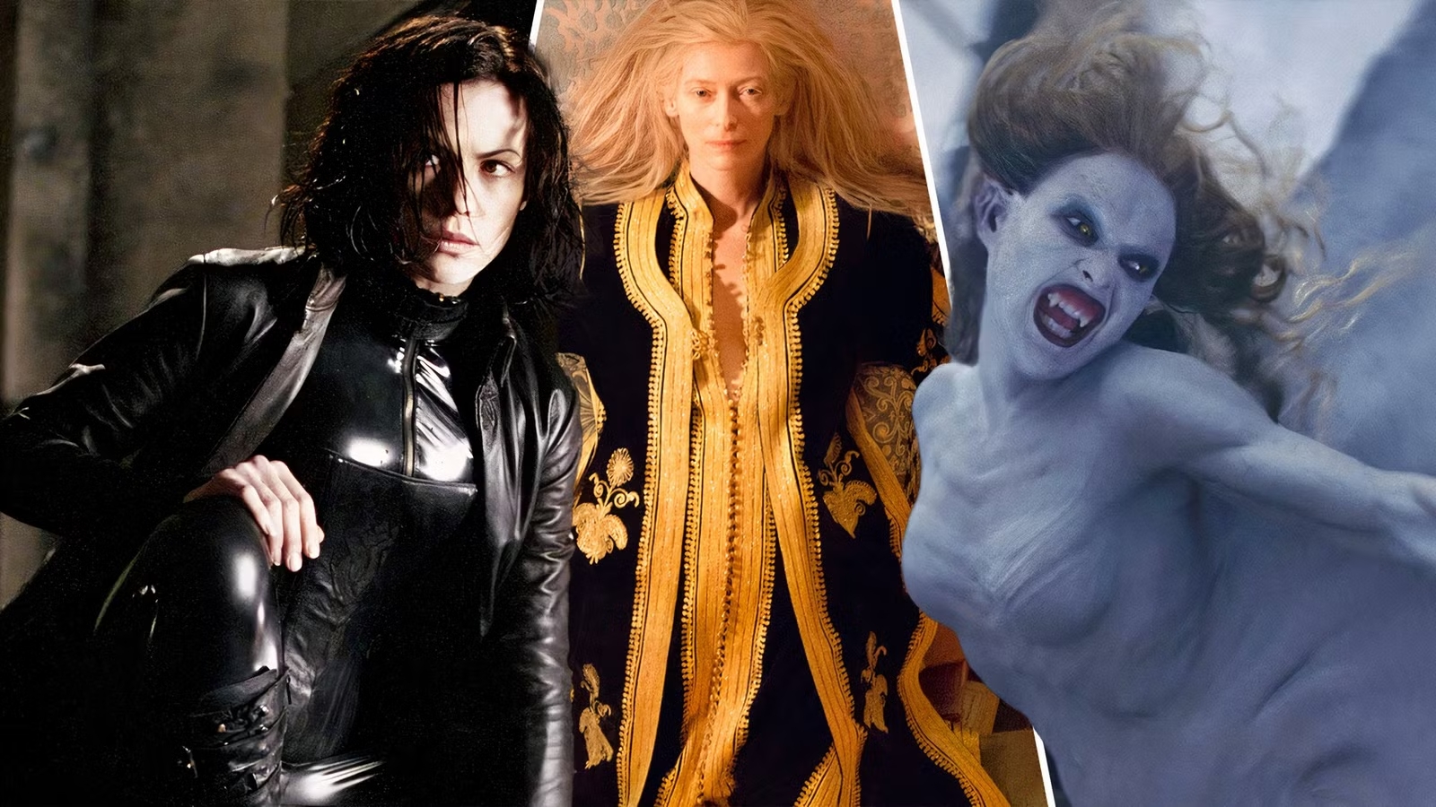 Вампіри / Vampires image