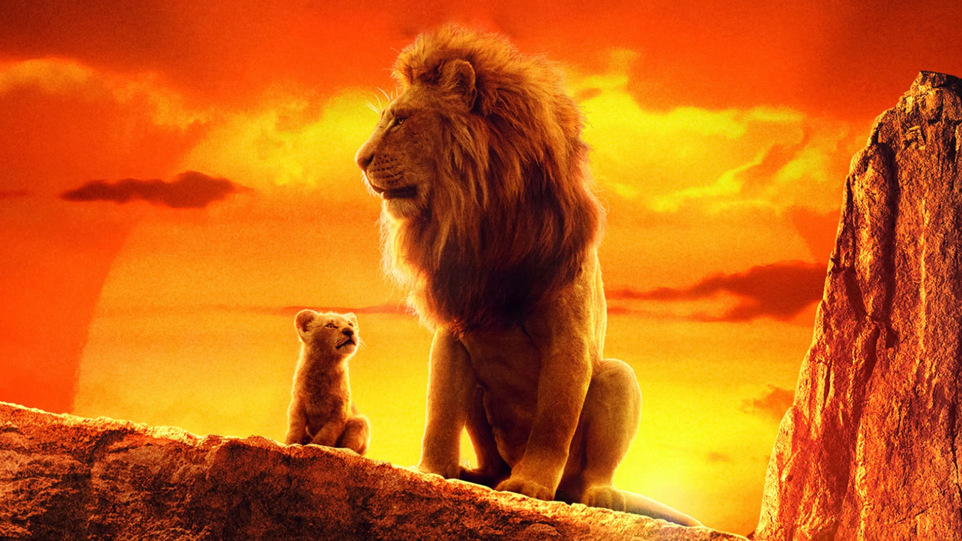 Король Лев / The Lion King (2019-2024) image