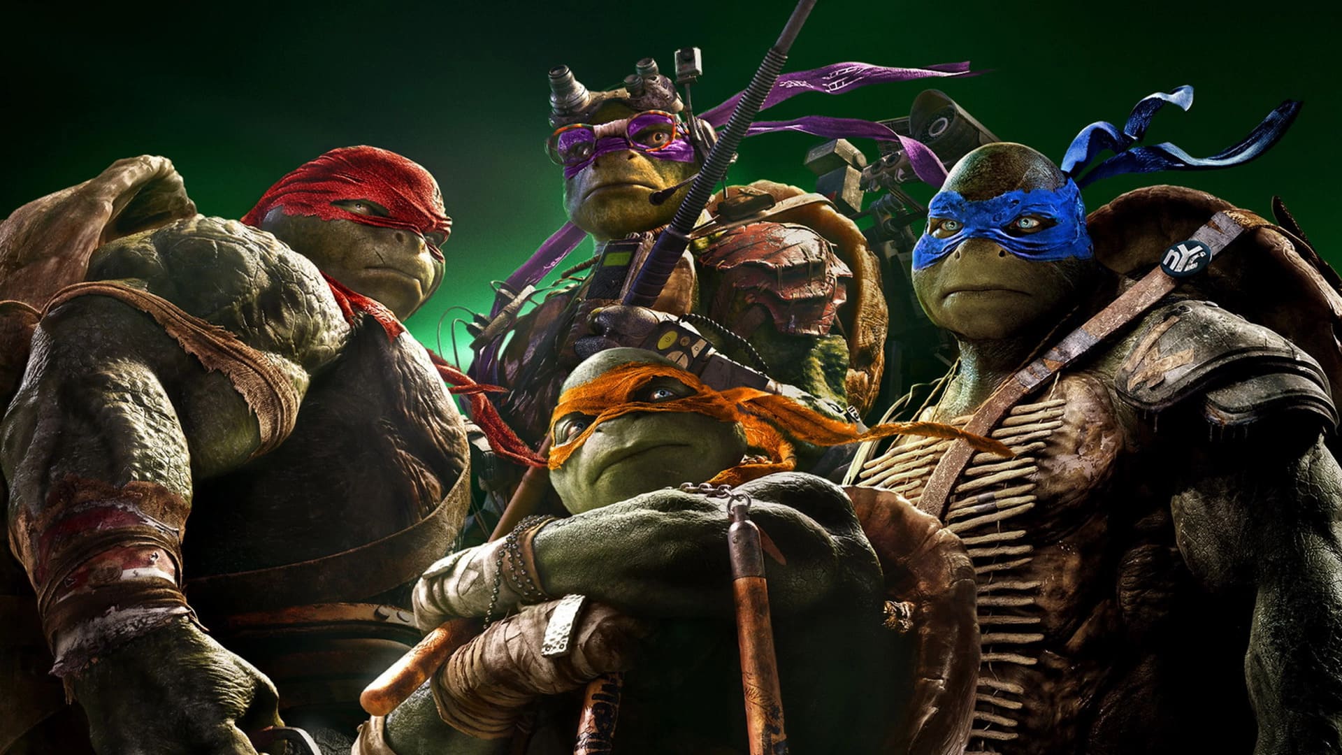 Підлітки-мутанти. Черепашки-ніндзя. Перезапуск / Teenage Mutant Ninja Turtles Reboot (2014-2016) image