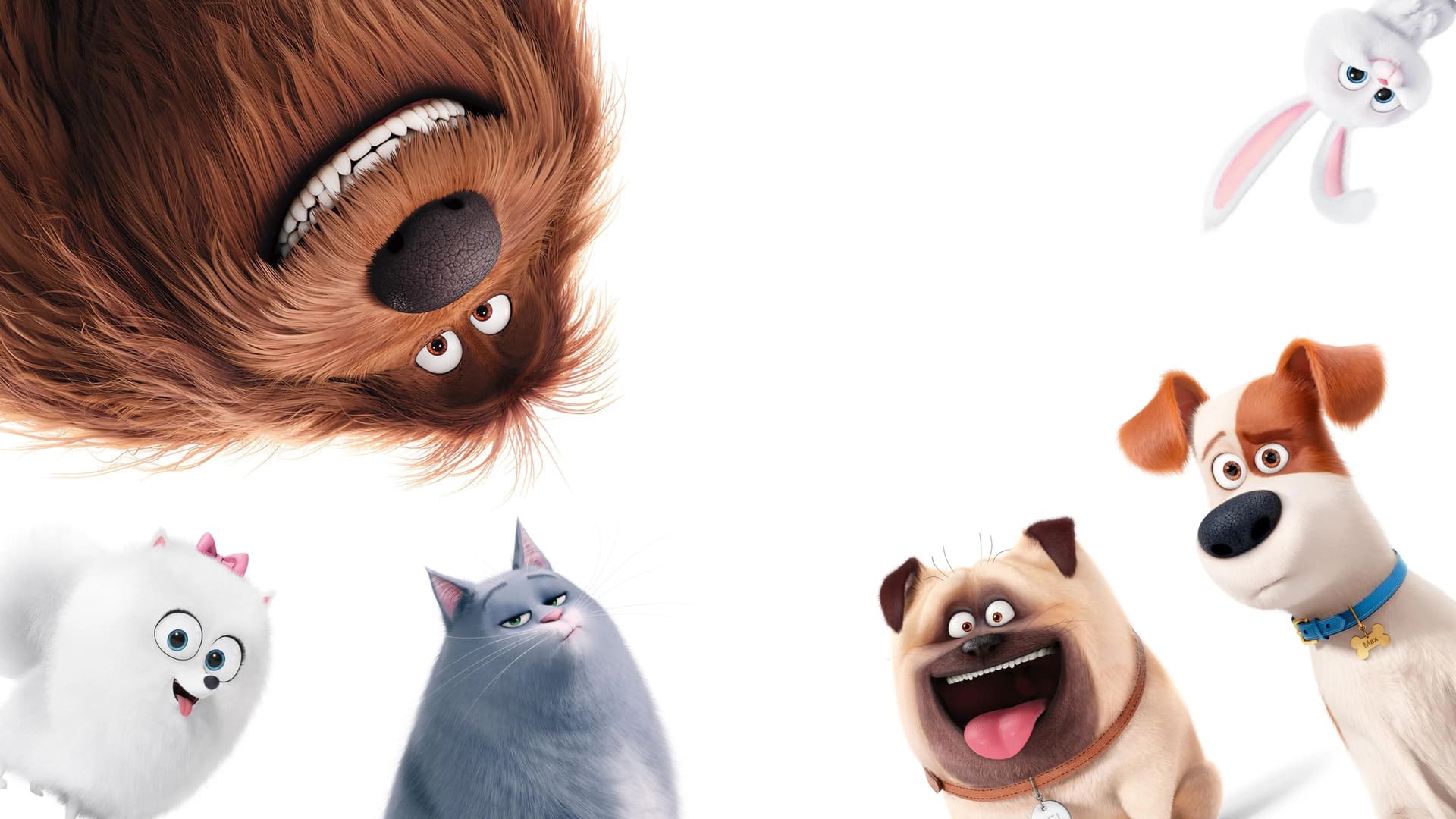 Секрети домашніх тварин / The Secret Life of Pets (2016-2019) image